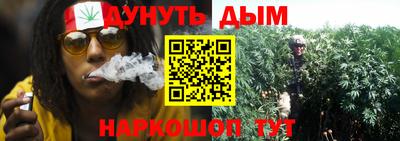 мдпв Рузаевка