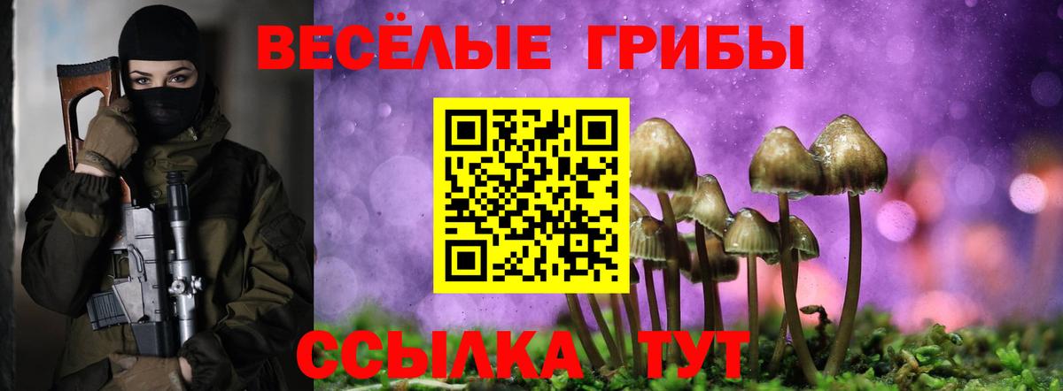 Псилоцибиновые грибы мухоморы  Вход с VPN  Орск 